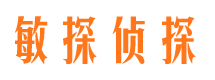 清流私家侦探公司